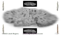 a photo of a rock and some other objects