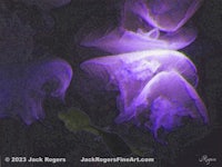 a purple jellyfish in the dark